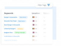 Keyword SEO Monitoring